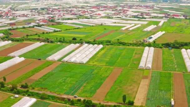 Plantación de hortalizas en zonas rurales — Vídeo de stock