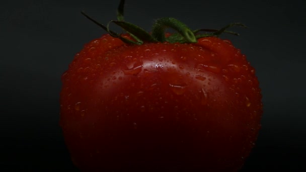 水滴で覆われたクローズアップ回転赤トマト 新鮮でジューシーで ダイエットに最適です 4K解像度 ループビデオ — ストック動画