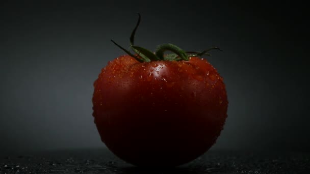 Rotačního otáčení červené rajče pokryté kapkami vody. Čerstvý a šťavnatý, perfektní na stravu. rozlišení 4k, opakování videa.