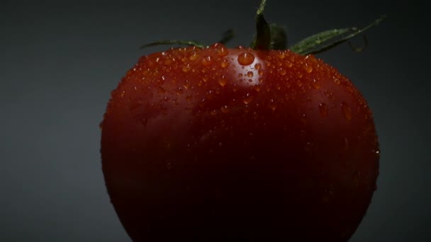 Close Rotation Red Tomato Covered Drops Water Fresh Juicy Perfect — Stock Video