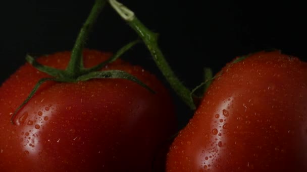 Närbild Rotation Röda Tomater Som Täcks Vattendroppar Fräsch Och Saftig — Stockvideo