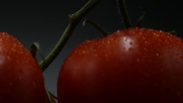 Gros Plan Rotation Tomates Rouges Recouvertes Gouttes Eau Frais Juteux — Video