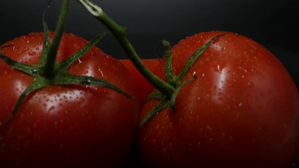 Närbild Rotation Röda Tomater Som Täcks Vattendroppar Fräsch Och Saftig — Stockvideo