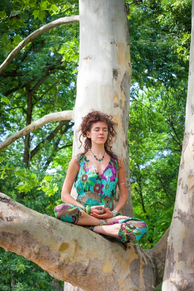 Joven Yoga Mujer Meditar Árbol Verano Día Madera —  Fotos de Stock