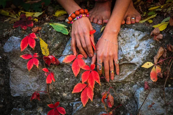 woman hands with lot of rings and bracelets on autumn red leaves on rock outdoor closeup