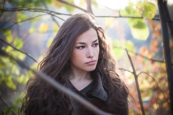 森の自然光の肖像画を秋若い美しい女性 — ストック写真