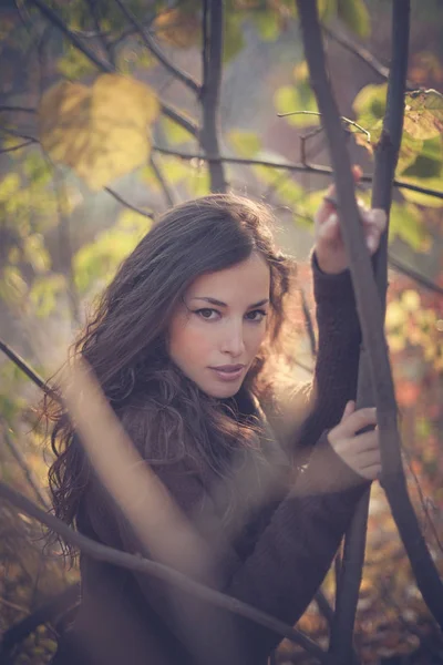 Joven Hermosa Mujer Retrato Invierno Bosque — Foto de Stock