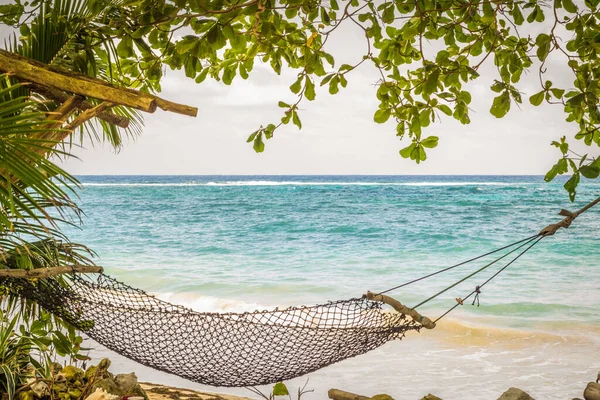 Vista Uma Praia Tropical Com Rede Mar Caribe Jamaica — Fotografia de Stock