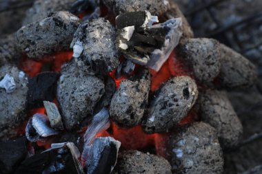 Sosisli için parlayan kömürler ile bahçede Kömür Barbekü ızgara