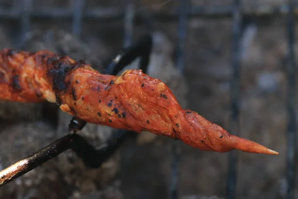 Bahçedeki Kömür Barbekü Ile Sosis Barbekü — Stok fotoğraf