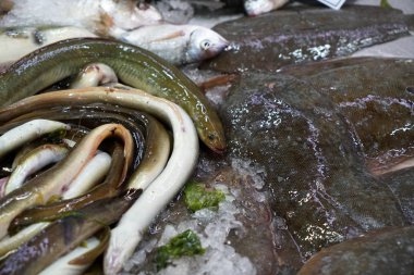 Taze balık Balık pazarında Portekiz fotoğrafı