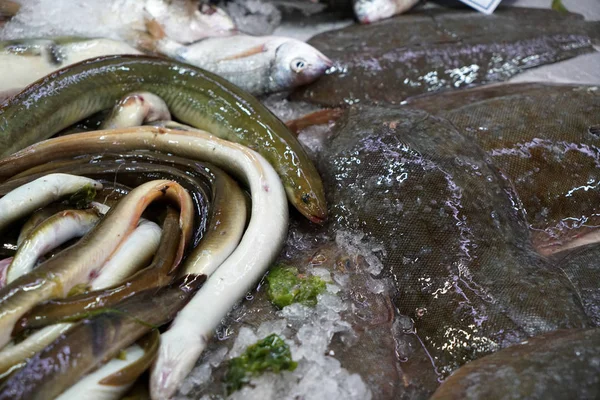 Taze balık Balık pazarında Portekiz fotoğrafı