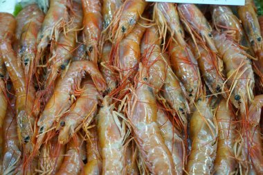 Taze karides balık Market Portekiz fotoğraflandı yakaladı