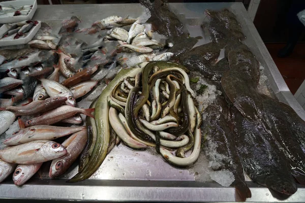 Peixes Frescos Fotografados Num Mercado Peixe Portugal — Fotografia de Stock