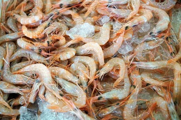 Freshly Caught Shrimps Photographed Fish Market Portugal — Stock Photo, Image