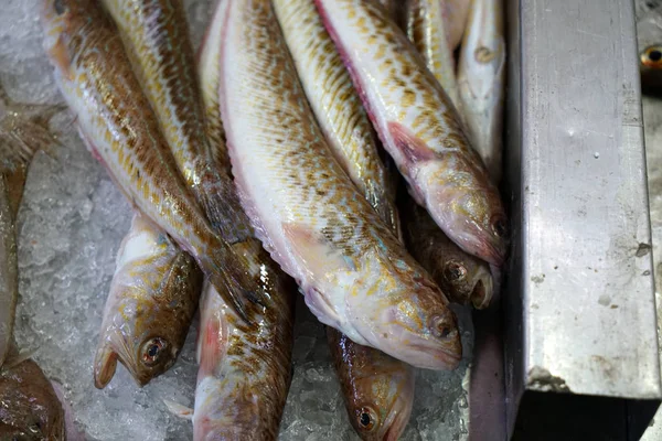 Рыбу Сфотографировали Рыбном Рынке Португалии — стоковое фото