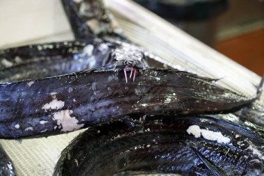 Taze balık Balık pazarında Portekiz fotoğrafı