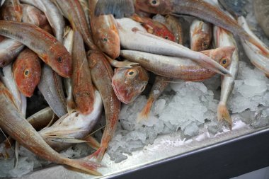 Taze balık Balık pazarında Portekiz fotoğrafı