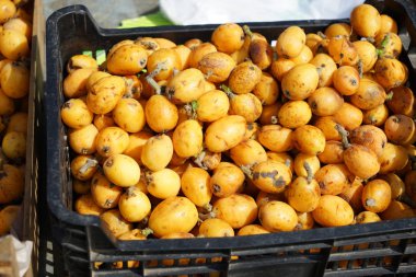 Renkli meyve ve sebzeler bir sebze pazarı Portekiz sunar