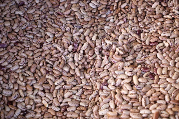 Mercado Verduras Portugal Ofrece Frutas Verduras Coloridas — Foto de Stock