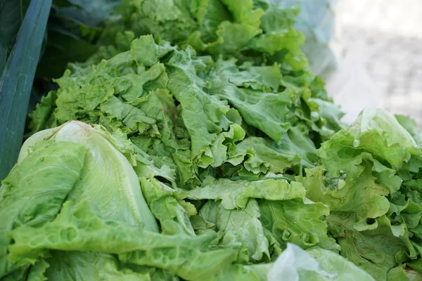 Renkli meyve ve sebzeler bir sebze pazarı Portekiz sunar