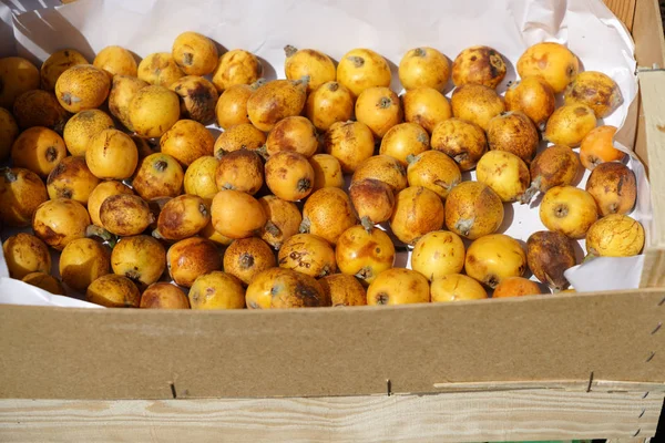 Een Groentemarkt Portugal Biedt Kleurrijke Groenten Fruit — Stockfoto