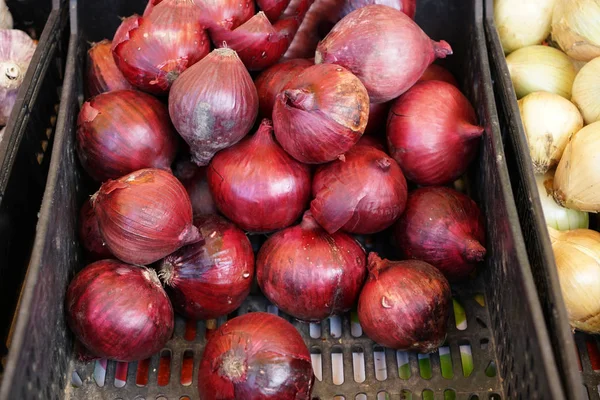 Renkli meyve ve sebzeler bir sebze pazarı Portekiz sunar