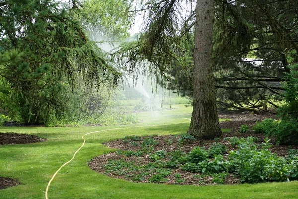 Nyilvános Jól Karbantartott Park Németországban Nyáron Hogy Visszaszerez — Stock Fotó