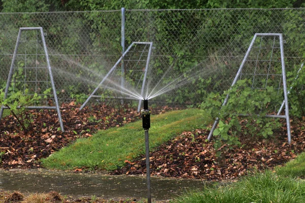 Nyilvános Jól Karbantartott Park Németországban Nyáron Hogy Visszaszerez — Stock Fotó