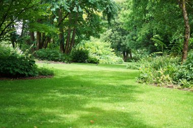 Kamu de park Almanya'da kurtarmak için yaz aylarında yapılmaktadır.