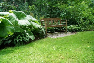 Kamu de park Almanya'da kurtarmak için yaz aylarında yapılmaktadır.