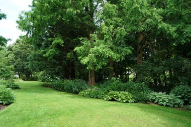 Kamu de park Almanya'da kurtarmak için yaz aylarında yapılmaktadır.