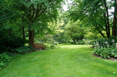 Kamu de park Almanya'da kurtarmak için yaz aylarında yapılmaktadır.