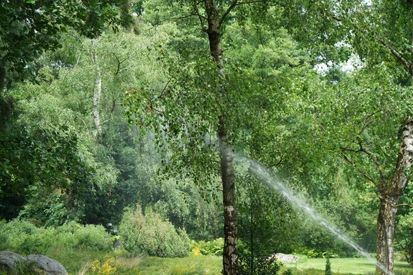 Nyilvános Jól Karbantartott Park Németországban Nyáron Hogy Visszaszerez — Stock Fotó