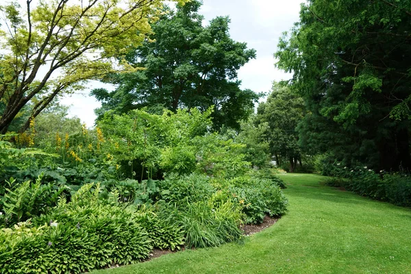 Nyilvános Jól Karbantartott Park Németországban Nyáron Hogy Visszaszerez — Stock Fotó