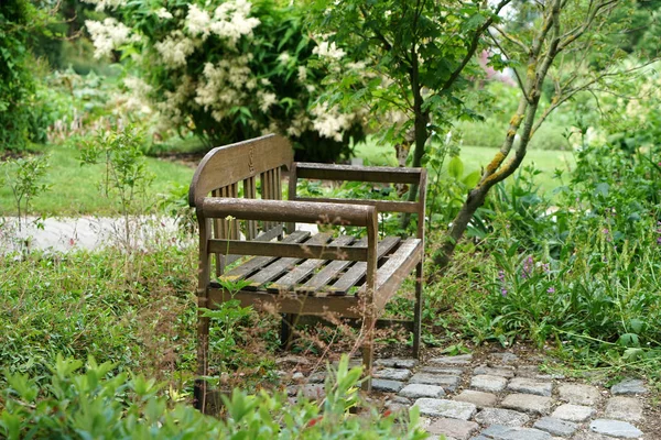 Kamu de park Almanya'da kurtarmak için yaz aylarında yapılmaktadır.