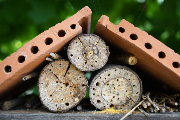 An insect hotel or insect house is an artificially created nesting and wintering aid for insects