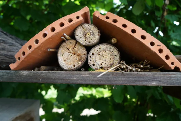 Ein Insektenhotel Oder Insektenhaus Ist Eine Künstlich Geschaffene Nist Und — Stockfoto