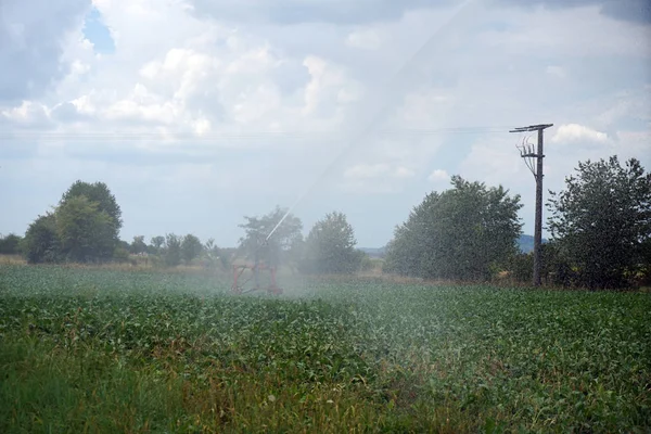 Kekeringan Jangka Panjang Jerman Karena Kurangnya Hujan Dalam Pertanian Membutuhkan — Stok Foto
