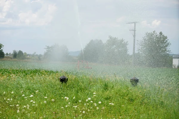 Particularly Hot Summer Days Fields Germany Must Irrigated Addition Royalty Free Stock Images