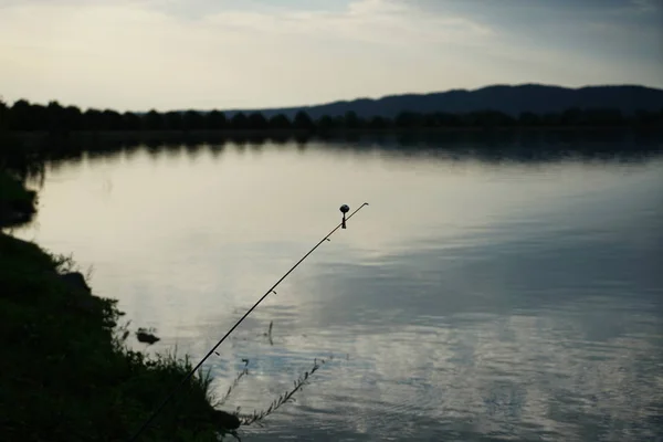 Vissen Duitsland Een Warme Zomeravond Donau — Stockfoto