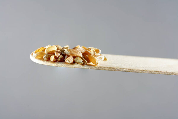                                Incense bowl with incense for smoking delicious fish and meat 