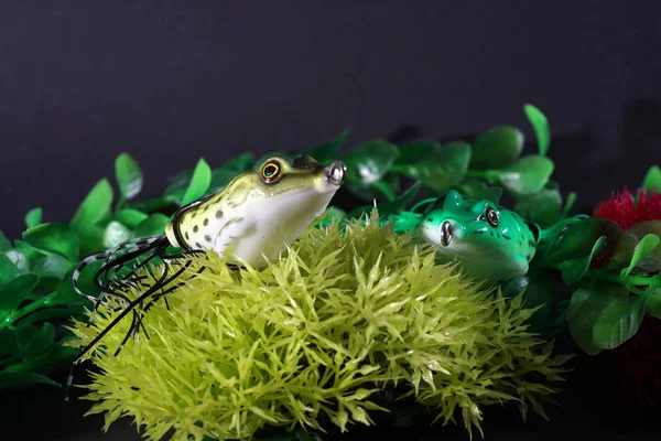 Żaby Tworzywa Sztucznego Ostrych Haczyków Doskonale Nadają Się Jako Sztuczne — Zdjęcie stockowe