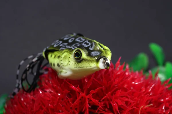 Frogs Made Plastic Sharp Hooks Well Suited Artificial Baits Predatory — Stock Photo, Image