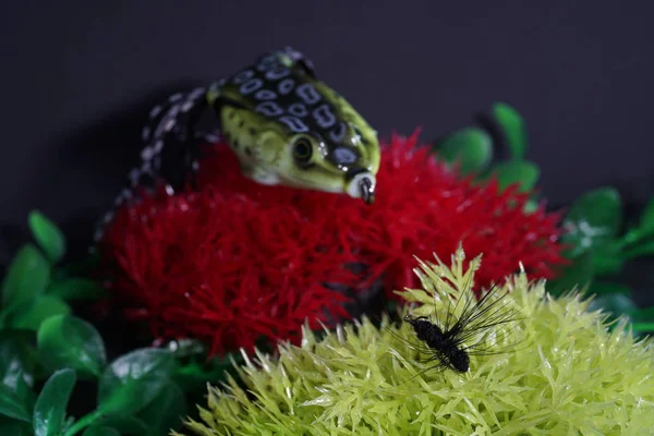 Acuario Artificial Con Peces Artificiales Que Son Buenos Para Pesca — Foto de Stock