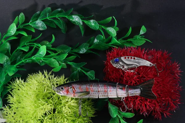 물고기에 낚시에 물고기와 수족관 — 스톡 사진