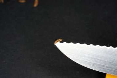 Kimyon tohumu özellikle Yahudi, İskandinav ve Doğu Avrupa mutfağında popüler ve orada da kullanılan bir baharat kek ve çavdar ekmeği, gulaş, peynir ve komposto elma.