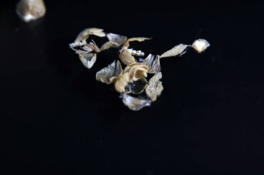 Bir çare olarak kekik zaten eski Yunanlılar tarafından adını Yunan dilinden geliyor bu yüzden kullanıldı.