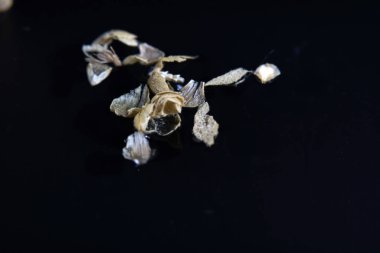 Bir çare olarak kekik zaten eski Yunanlılar tarafından adını Yunan dilinden geliyor bu yüzden kullanıldı.