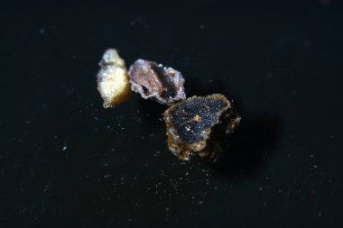 Ayrıca gerçek biber konuştuğumuz benzer baharat ayırt etmek.